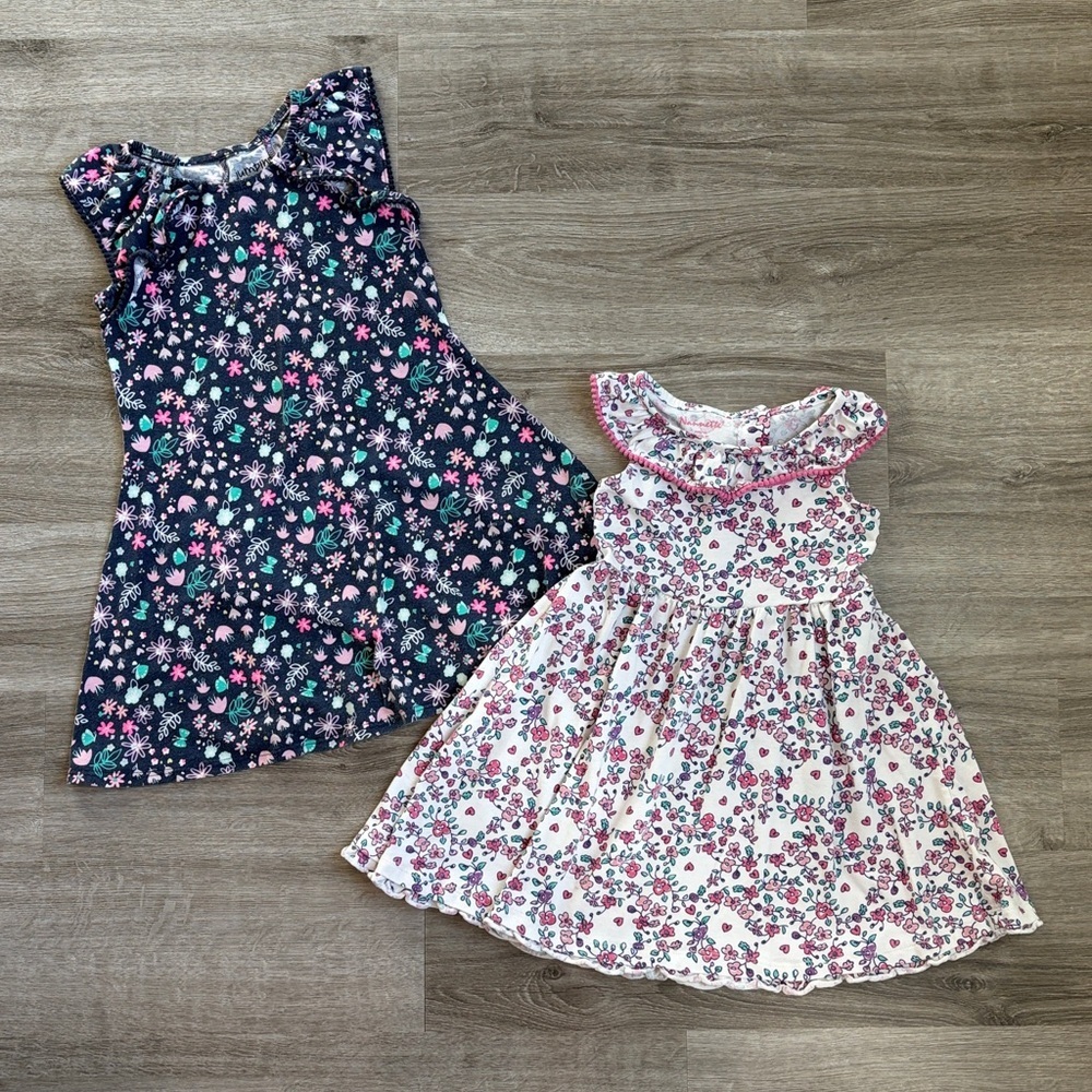 Jumping Beans/Nannette girls floral dresses